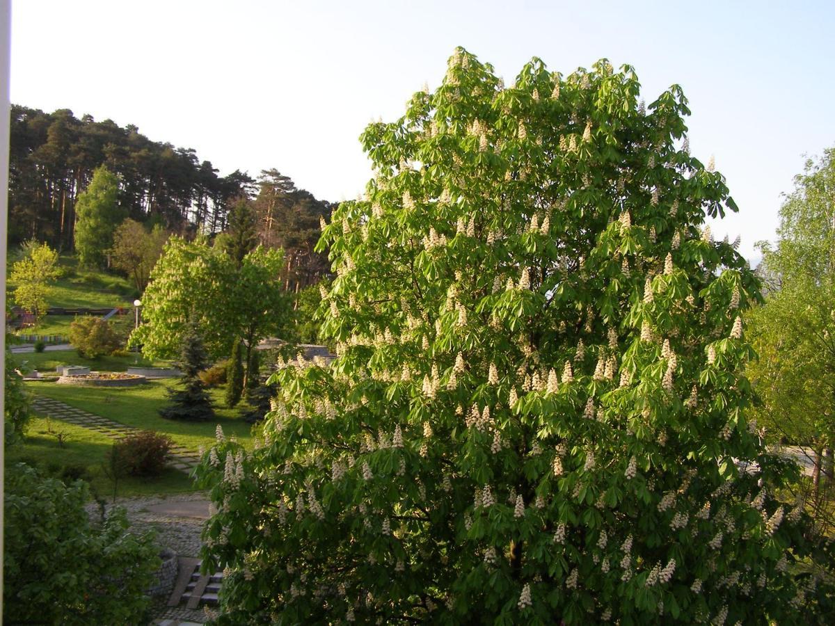 Belogradchik View Apartment Luaran gambar